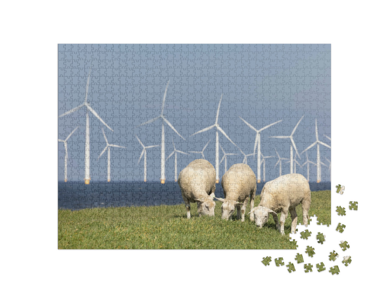 Puzzel 1000 stukjes „Nederlandse dijk aan het IJsselmeer met windmolens en drie grazende schapen“