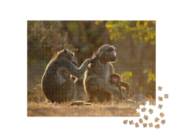 Puzzel 1000 stukjes „Familieleven met de Chacma bavianen, Kruger National Park, Zuid-Afrika“