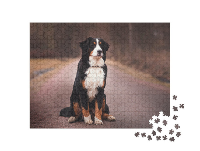 Puzzel 1000 stukjes „Berner Sennenhond op straat“