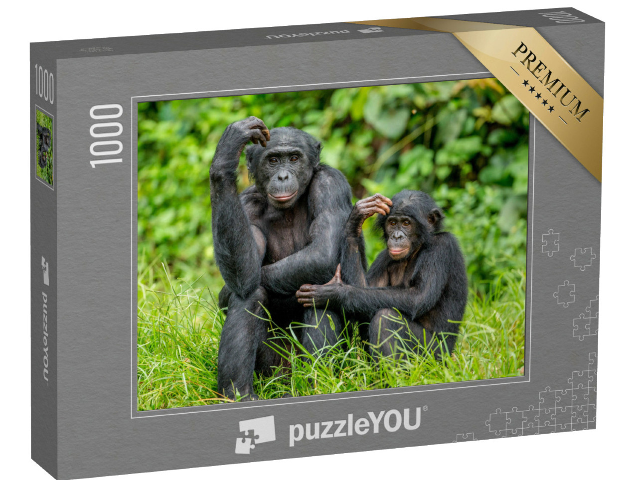 Puzzel 1000 stukjes „Vrouwelijke bonobo met een baby in Congo, Afrika“