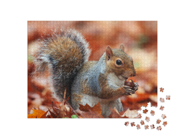 Puzzel 1000 stukjes „Eekhoorn in de herfst met eikel“