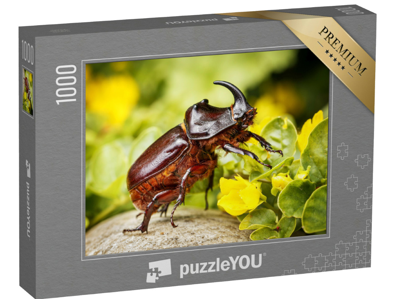 Puzzel 1000 stukjes „Neushoornkever, populair huisdier in delen van Azië“