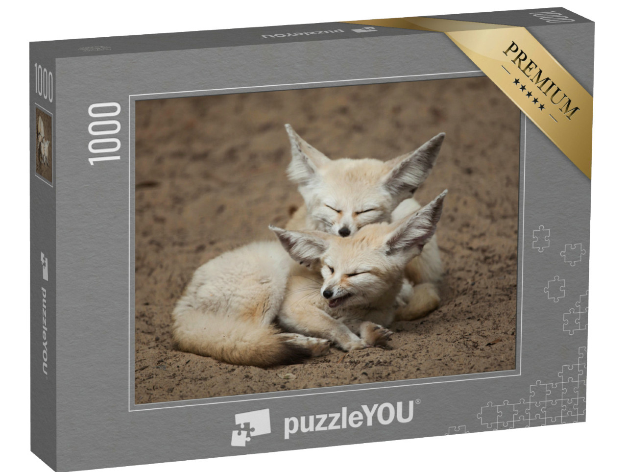 Puzzel 1000 stukjes „Fennec vossen nemen een korte pauze“
