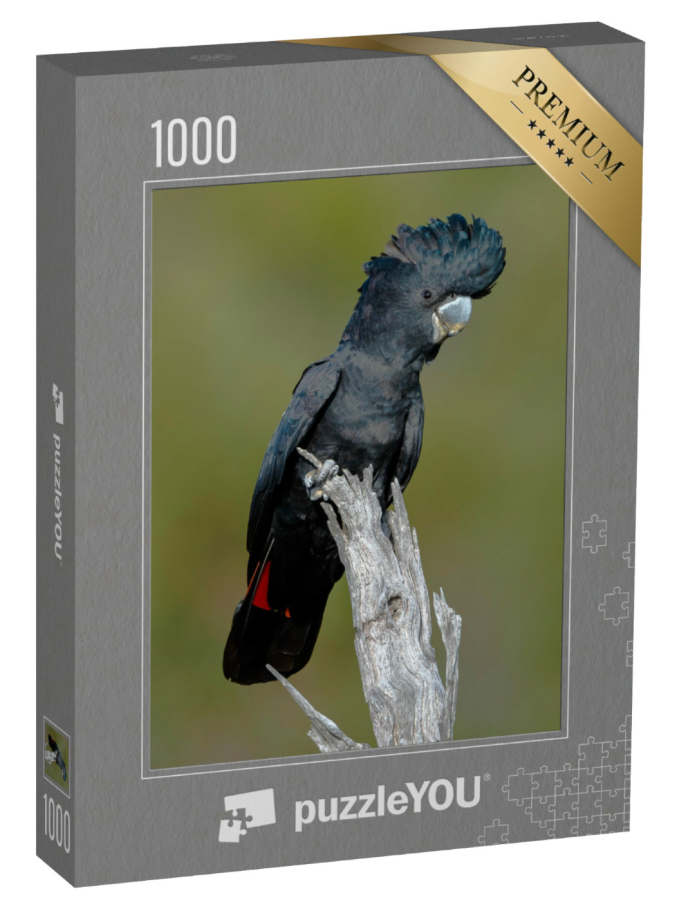 Puzzel 1000 stukjes „Roodstaart zwarte kaketoe, Bickley Perth“