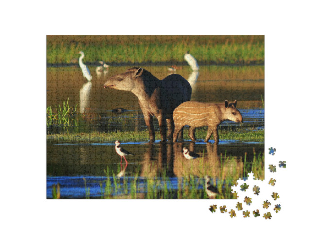 Puzzel 1000 stukjes „Tapir moeder met baby bij een drinkplaats“