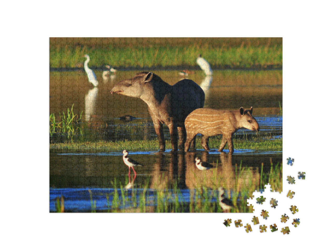 Puzzel 1000 stukjes „Tapir moeder met baby bij een drinkplaats“