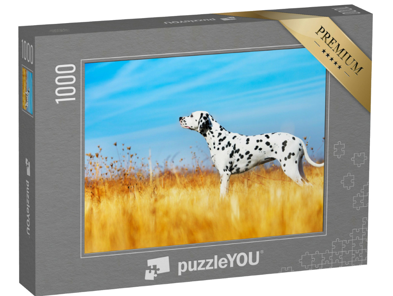 Puzzel 1000 stukjes „Mooie dalmatiër in een veld“
