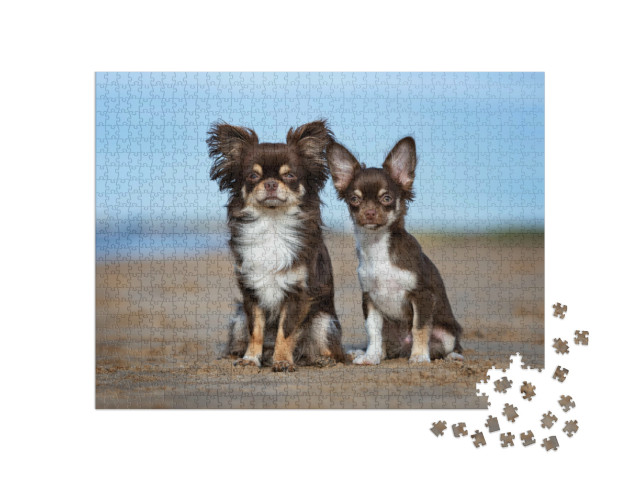 Puzzel 1000 stukjes „Chihuahua en puppy buiten“