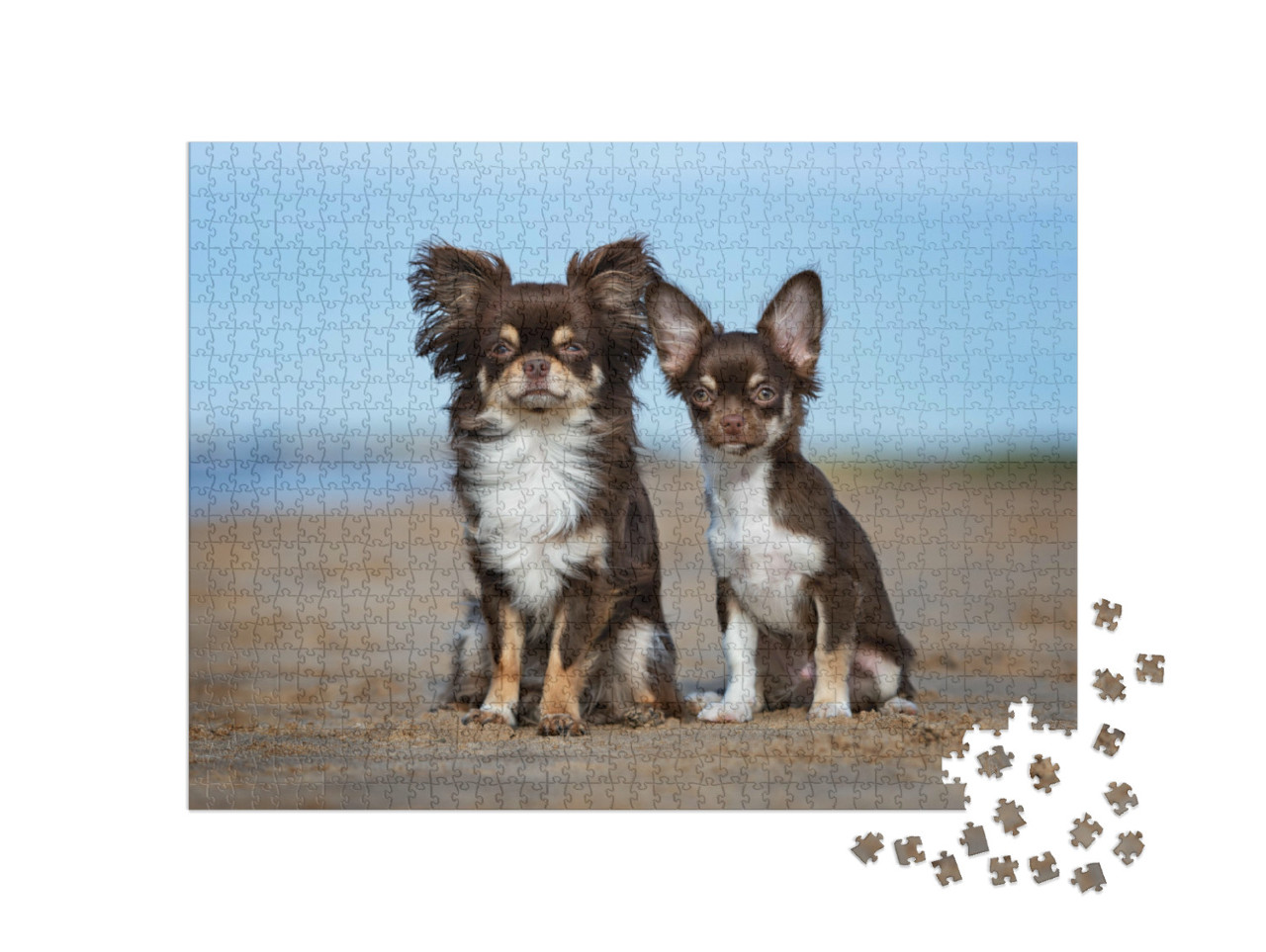 Puzzel 1000 stukjes „Chihuahua en puppy buiten“