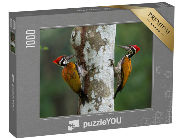 Puzzel 1000 stukjes „Grote bonte specht op zoek naar voedsel“