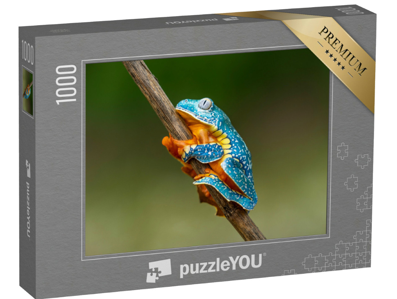 Puzzel 1000 stukjes „Goudogige boomkikker die zich vastklampt aan een tak“