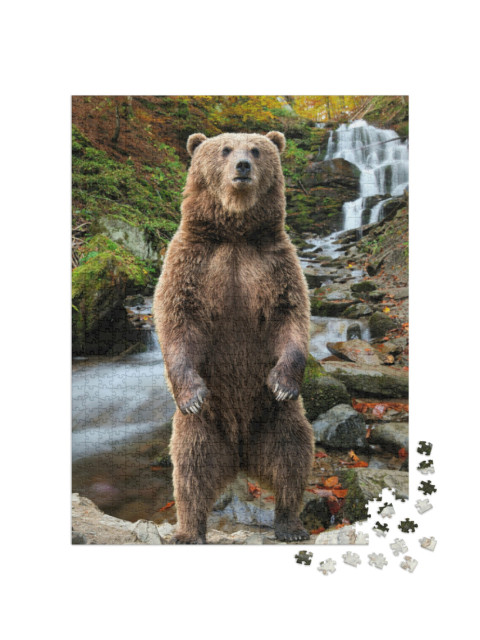 Puzzel 1000 stukjes „Een bruine beer in het herfstbos“