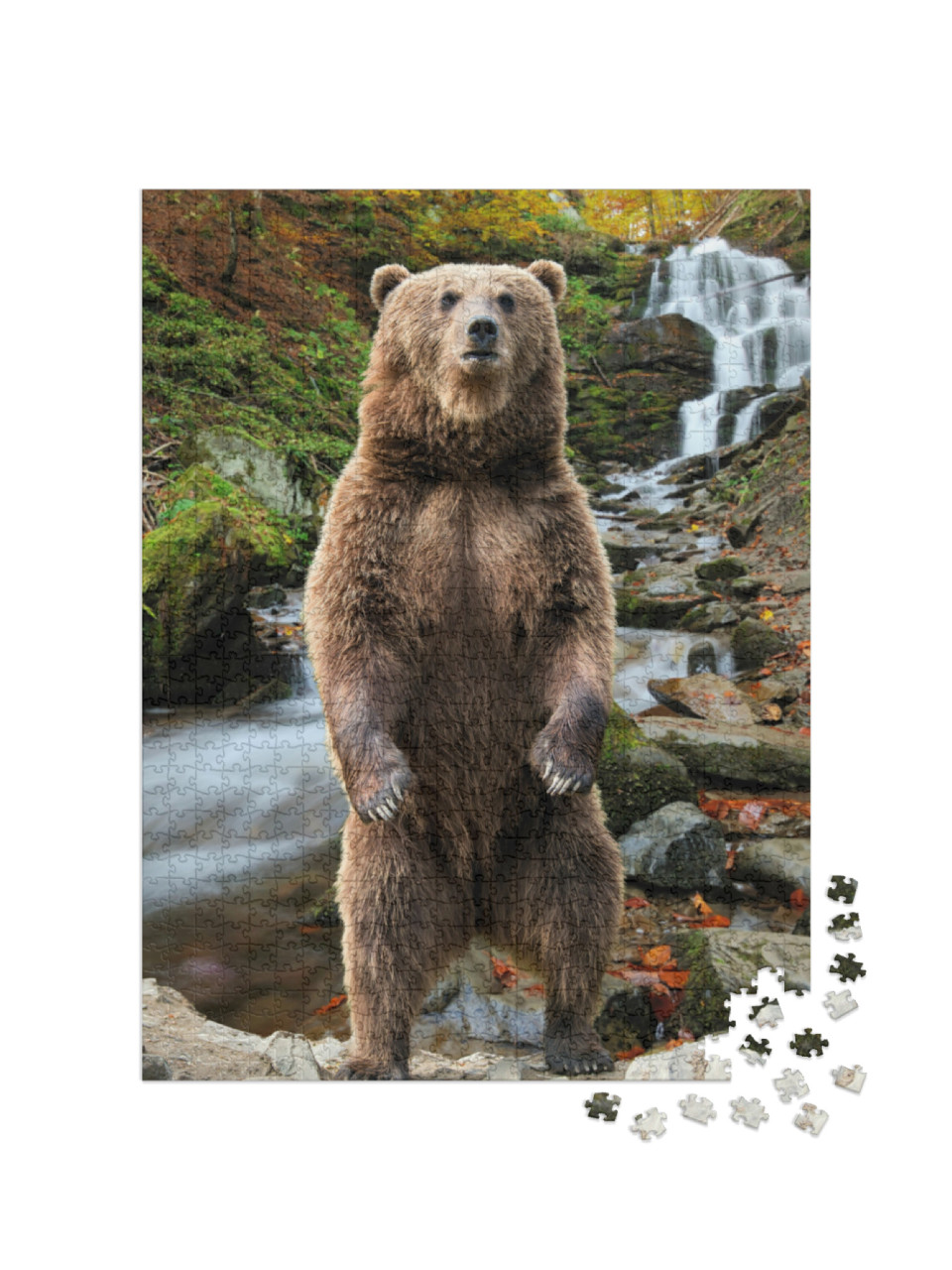 Puzzel 1000 stukjes „Een bruine beer in het herfstbos“