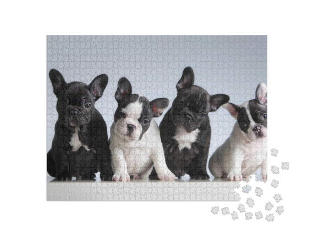 Puzzel 1000 stukjes „Vier Franse Bulldogs“