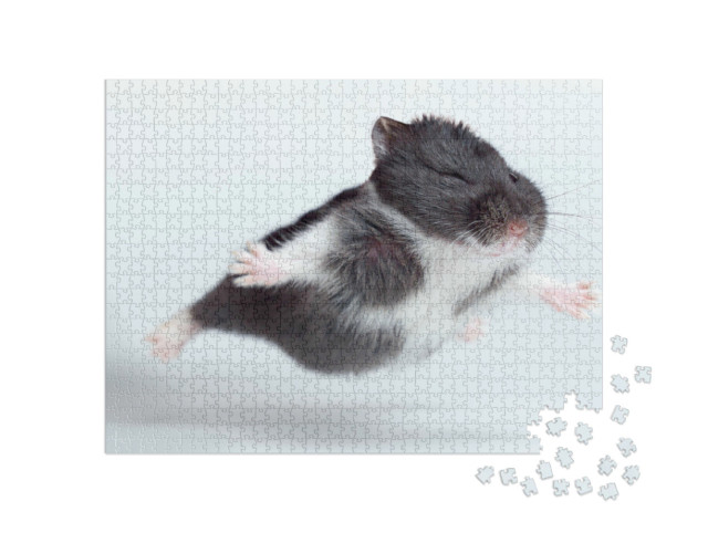 Puzzel 1000 stukjes „Grappige vliegende hamster“