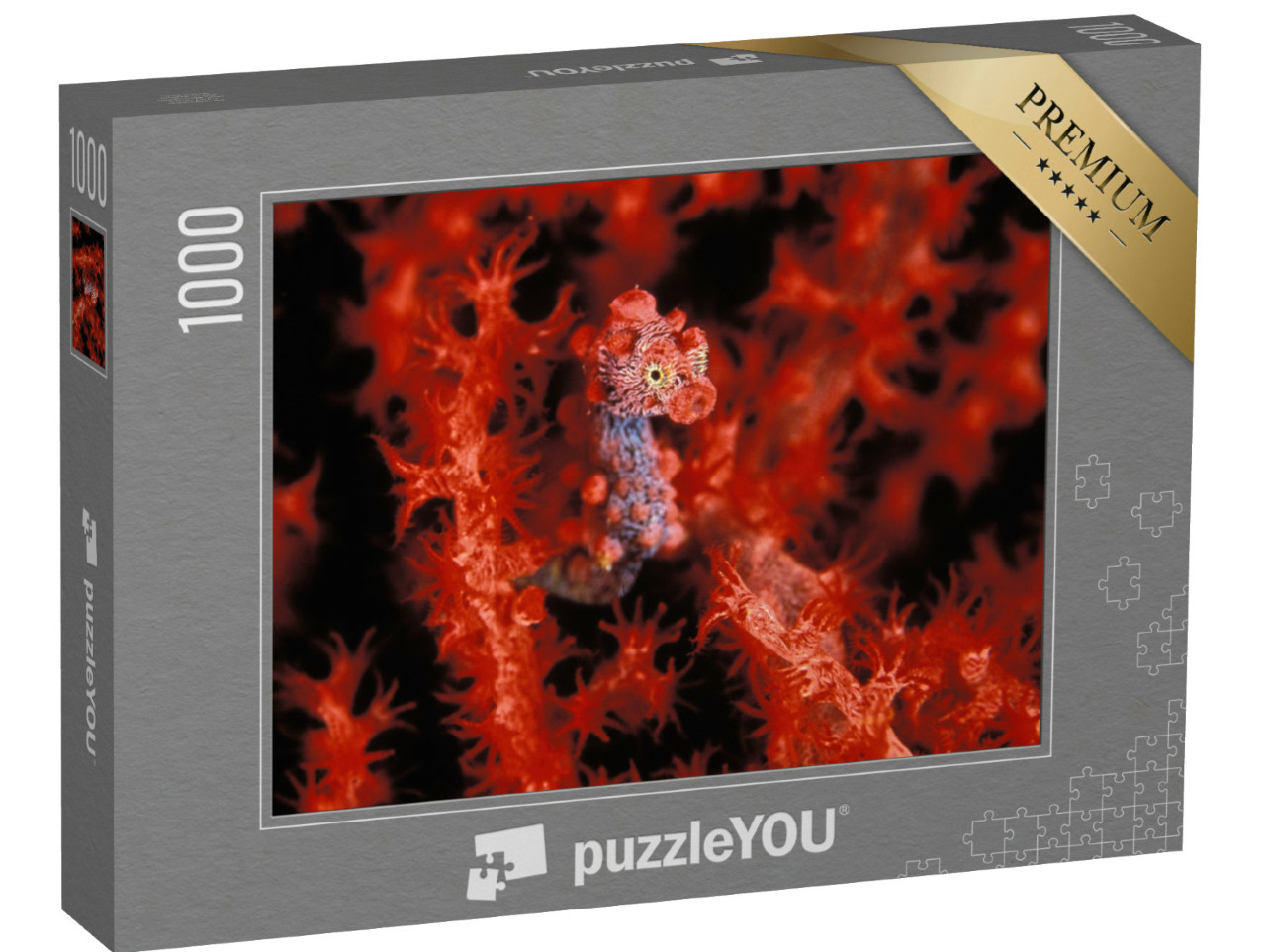 Puzzel 1000 stukjes „Een felrood dwergzeepaardje“