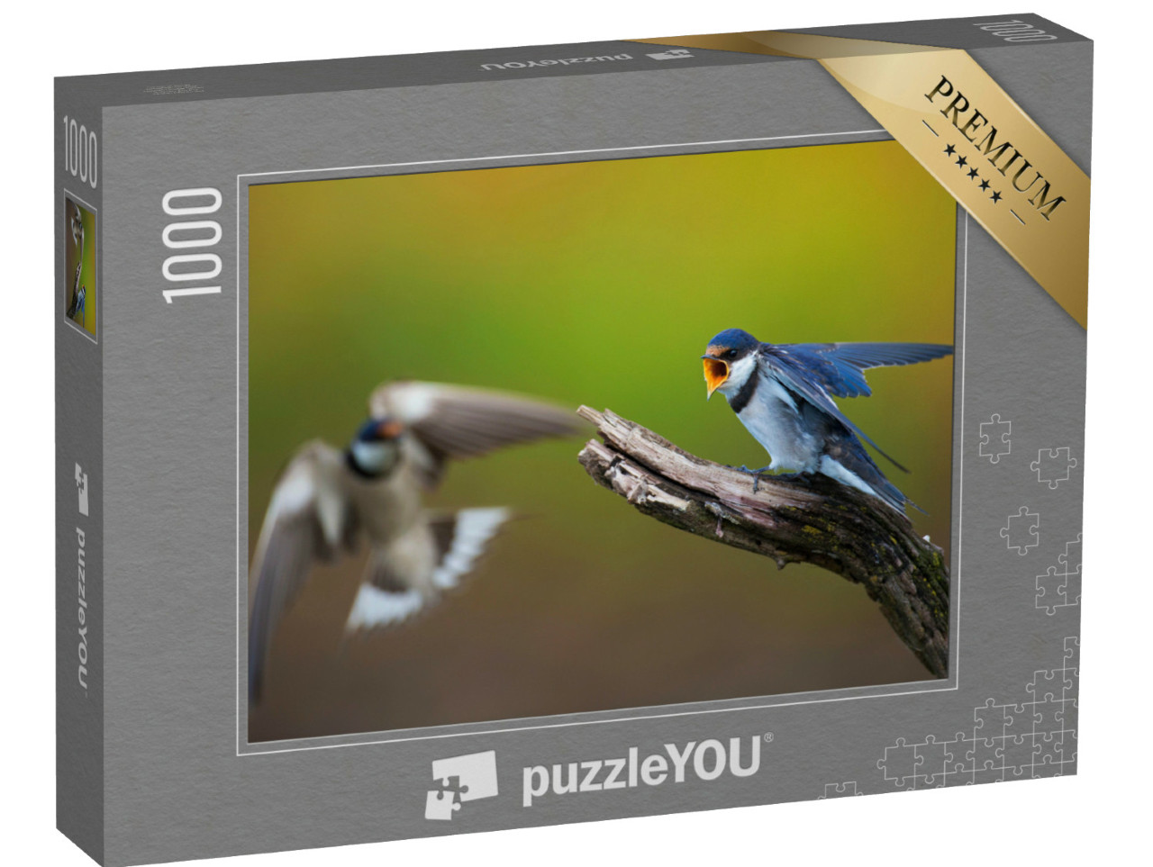 Puzzel 1000 stukjes „Twee witkeelzwaluwen in een wedstrijd“