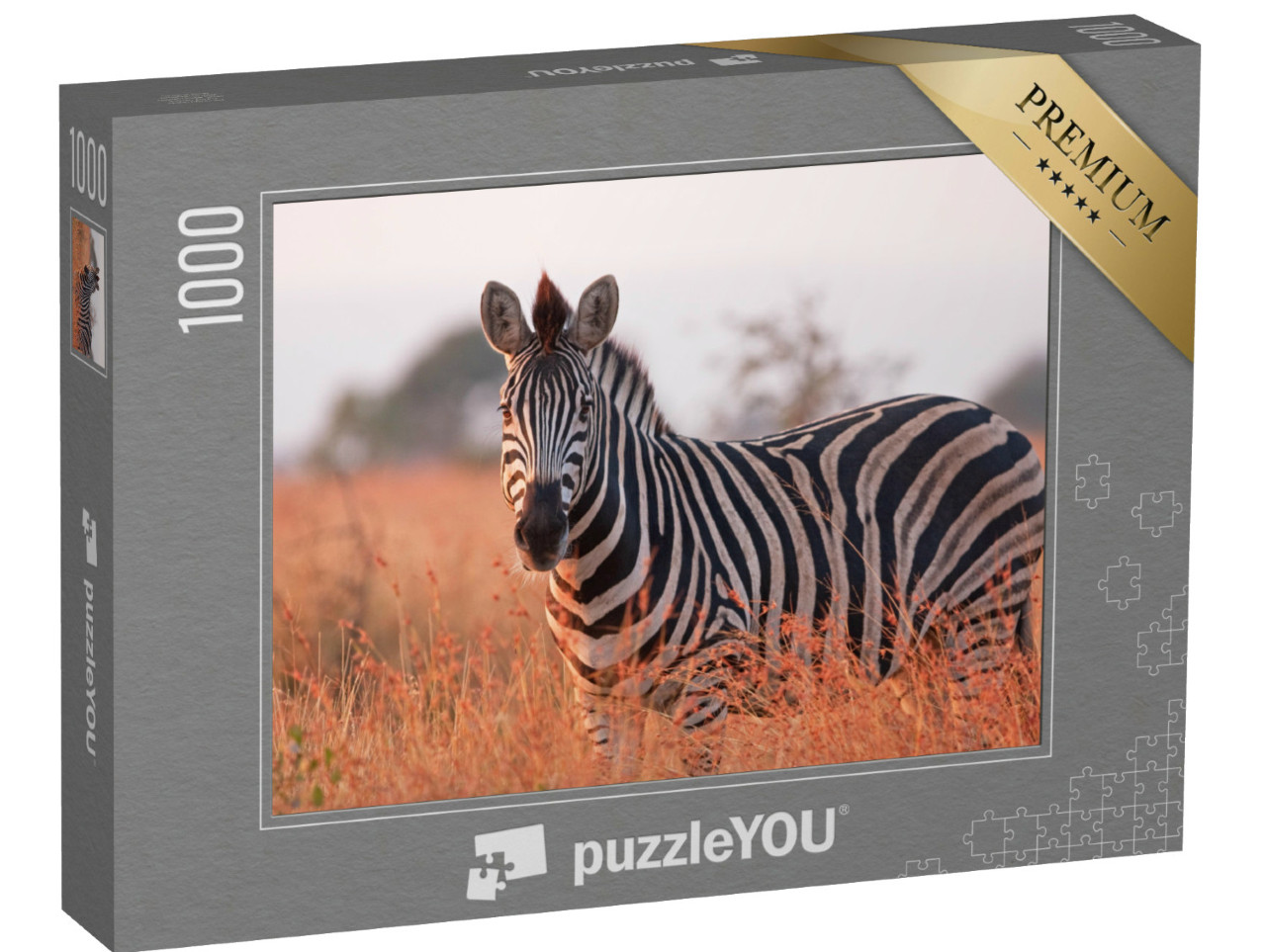 Puzzel 1000 stukjes „Een vlaktezebra: Equus quagga in het Kruger National Park in Zuid-Afrika“