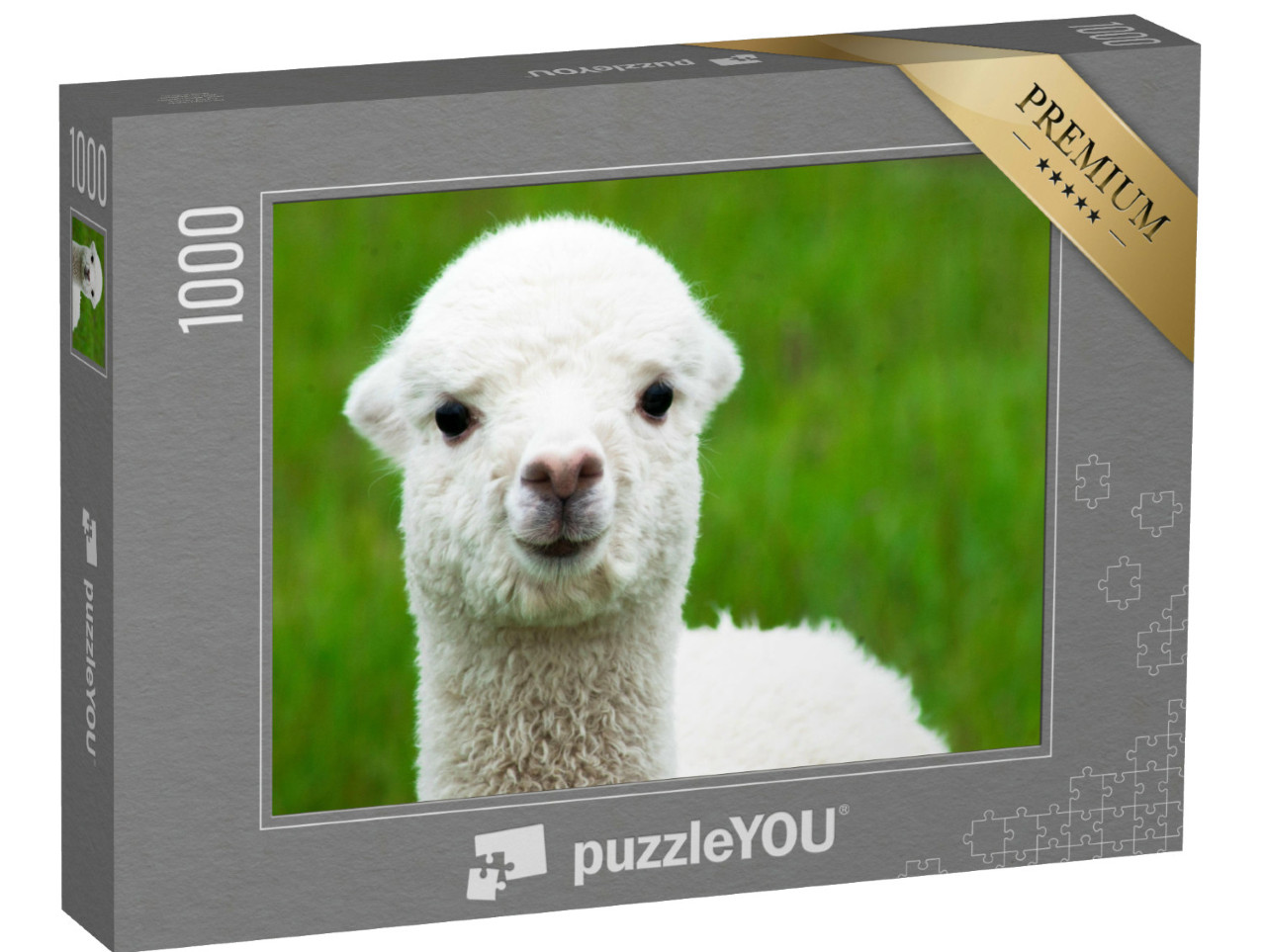 Puzzel 1000 stukjes „Schattige witte alpaca baby“