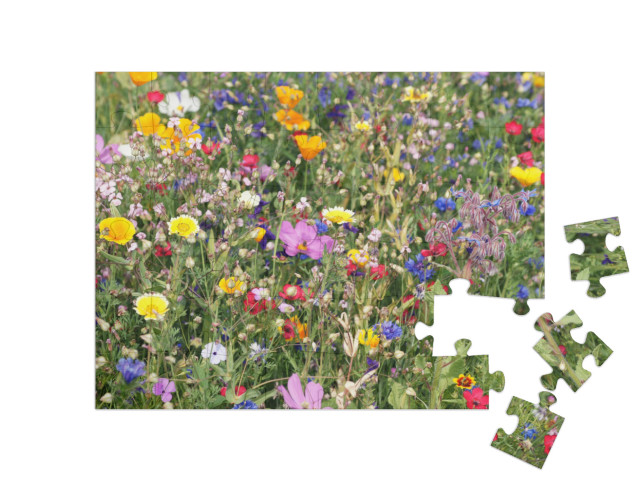Puzzel 48 stukjes „Een kleurrijke weide met wilde bloemen“