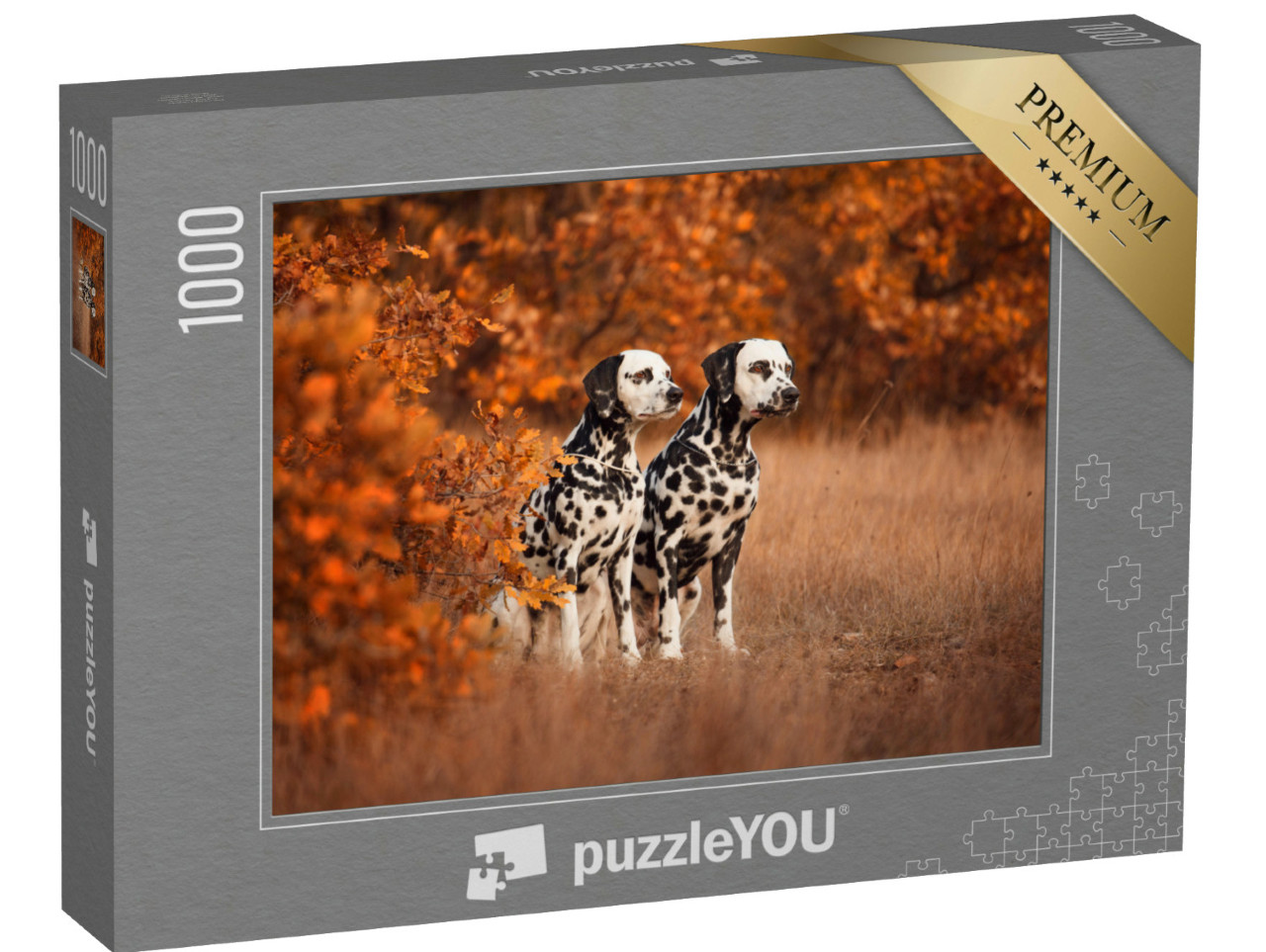 Puzzel 1000 stukjes „Twee dalmatiërs aan de wandel“