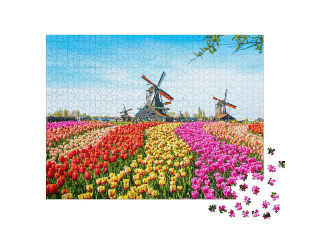 Puzzel 1000 stukjes „Landschap met tulpen en windmolens, Nederland“