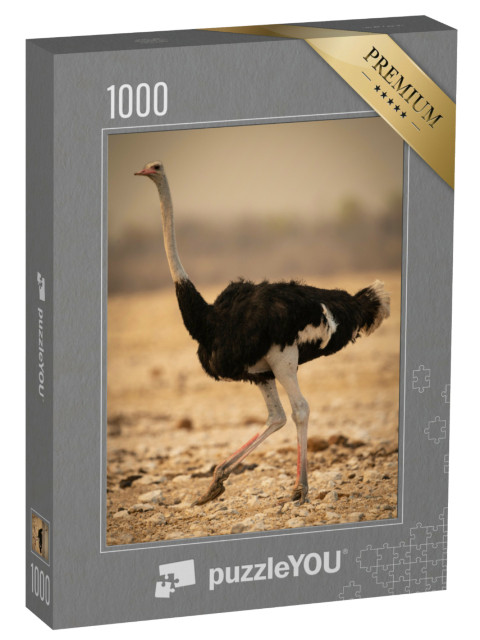 Puzzel 1000 stukjes „Mannelijke struisvogel rent door een rotsachtig landschap“