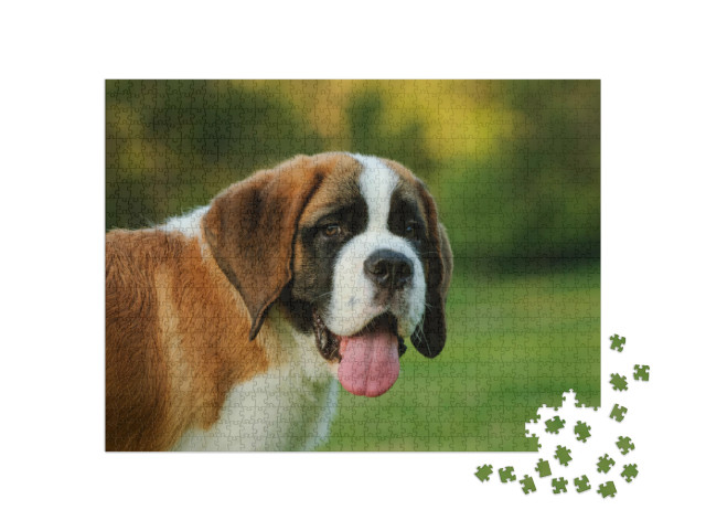 Puzzel 1000 stukjes „Portret van een sint-bernard puppy in het park“