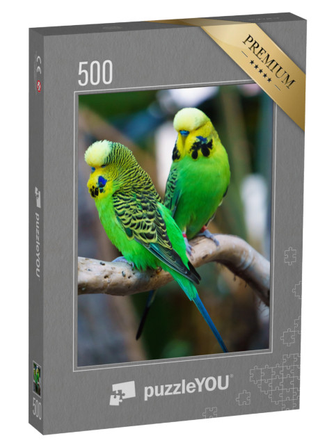 Puzzel 500 stukjes „Twee grasparkieten zittend op een tak“