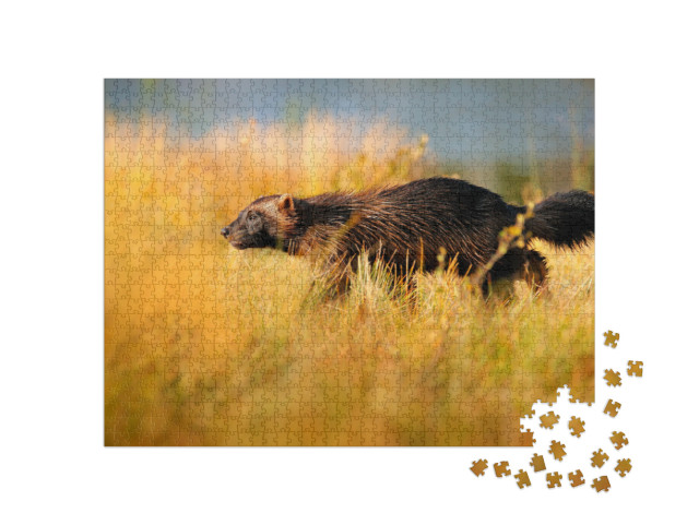 Puzzel 1000 stukjes „Wolverine in de Finse taiga“
