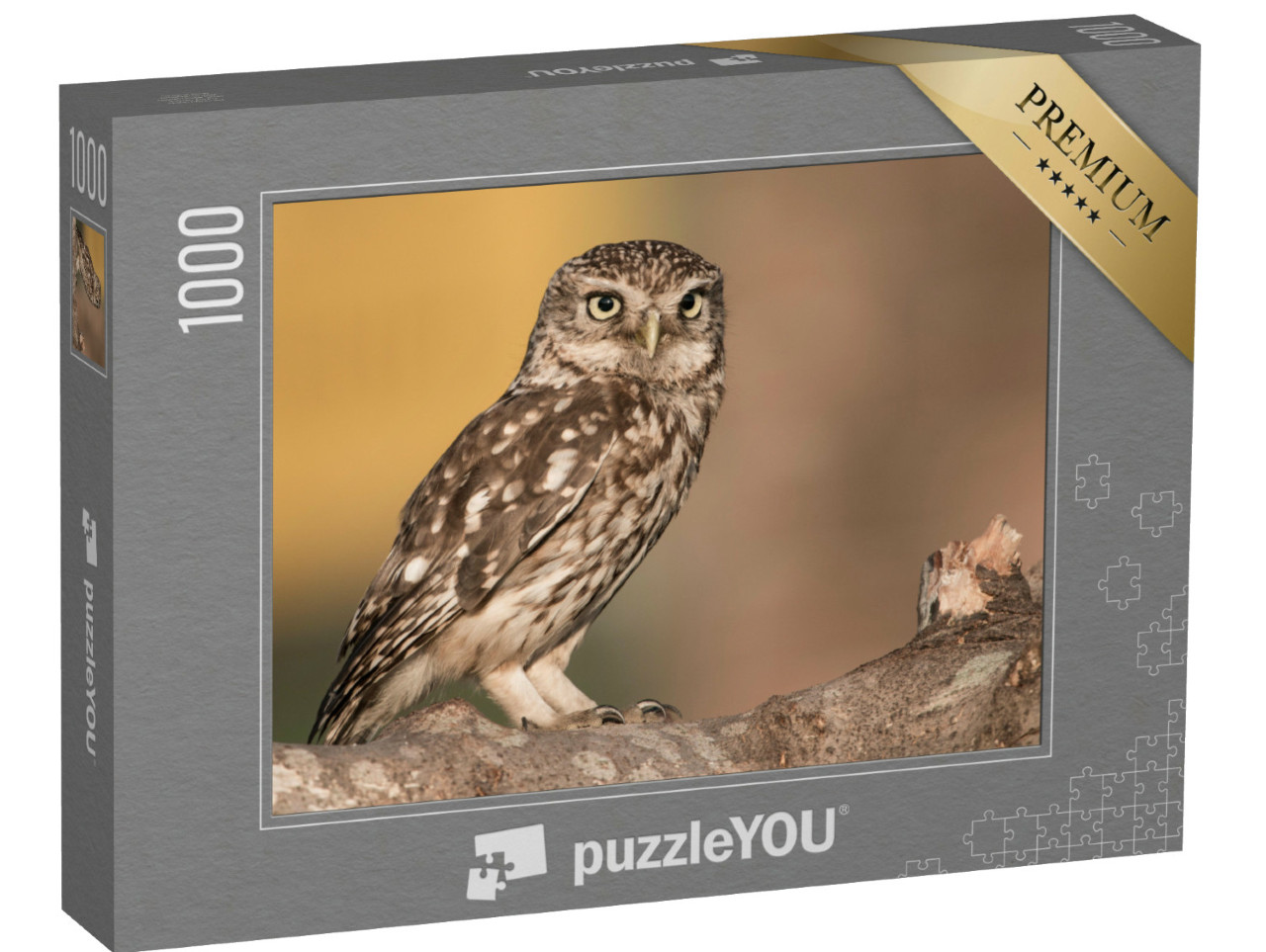 Puzzel 1000 stukjes „Steenuil op een tak“