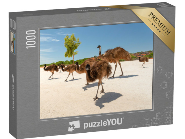 Puzzel 1000 stukjes „Emoe familie bij Shark Bay, Francois Peron Nationaal Park, Monkey Mia“