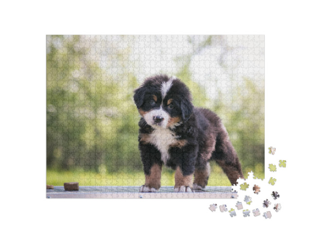 Puzzel 1000 stukjes „Schattige Berner Sennenhond puppy“