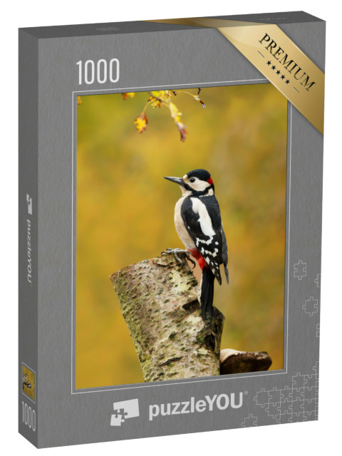 Puzzel 1000 stukjes „Grote bonte specht op een berkenstam“