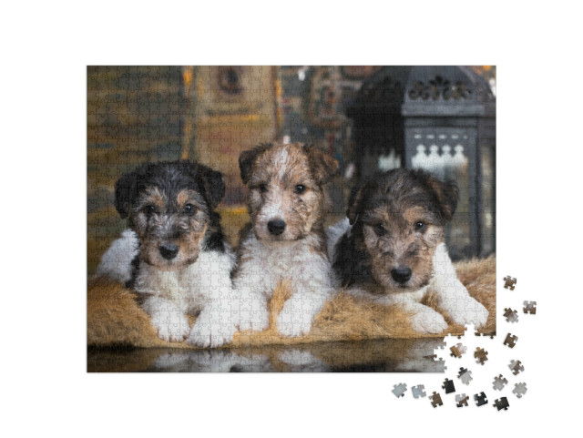 Puzzel 1000 stukjes „Schattige fox terrier puppies op hun knusse deken“