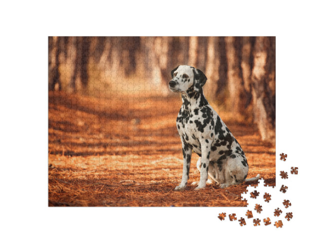 Puzzel 1000 stukjes „Dalmatische hondenras tijdens een wandeling“