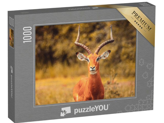 Puzzel 1000 stukjes „Impala-antilope“