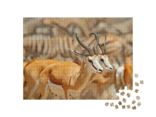 Puzzel 1000 stukjes „Een groep dieren bij een waterpoel, Namibië“