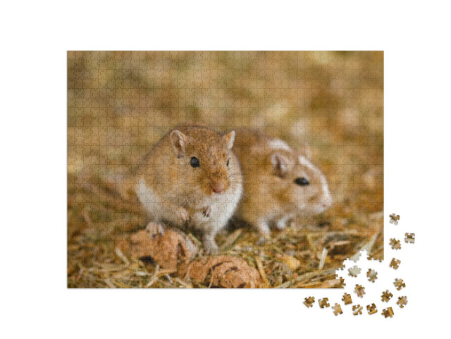 Puzzel 1000 stukjes „Twee Mongoolse gerbils“