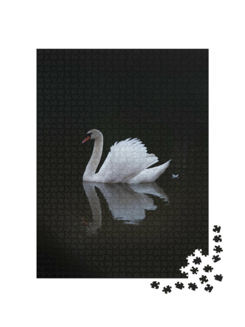 Puzzel 1000 stukjes „Elegante witte zwaan“