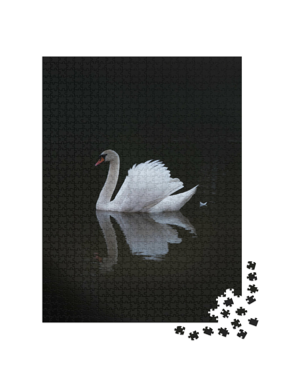 Puzzel 1000 stukjes „Elegante witte zwaan“