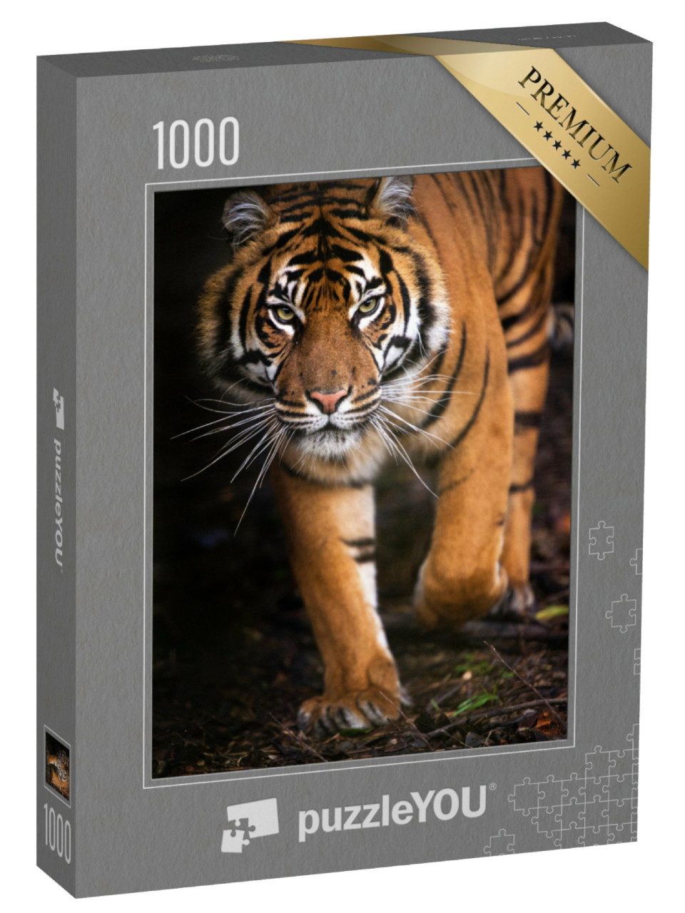 Puzzel 1000 stukjes „Jonge Sumatraanse tijger“
