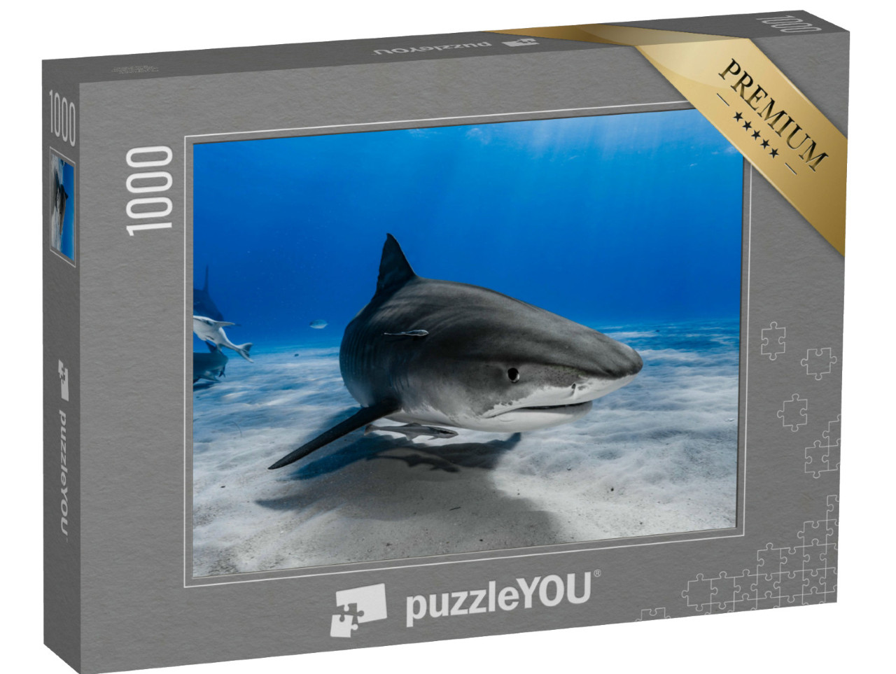 Puzzel 1000 stukjes „Tijgerhaai zwemt over het rif“