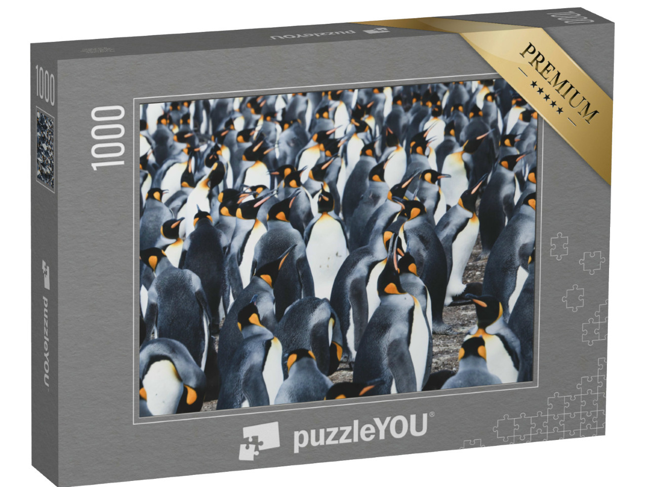 Puzzel 1000 stukjes „Grote kolonie koningspinguïns op de Falklandeilanden“