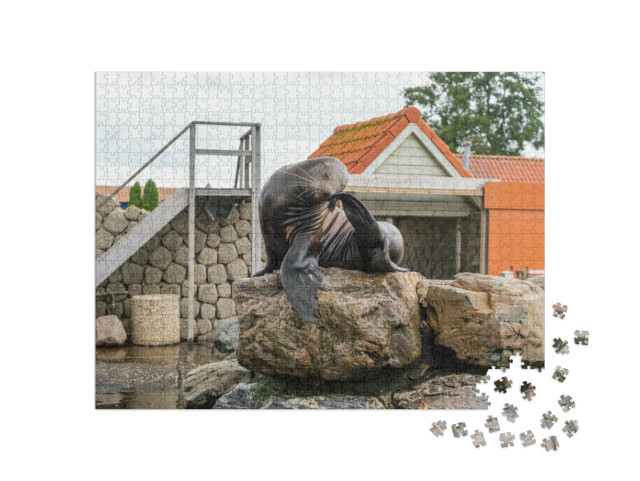 Puzzel 1000 stukjes „Zeehonden op een rots in het Dolfinarium in Harderwijk“