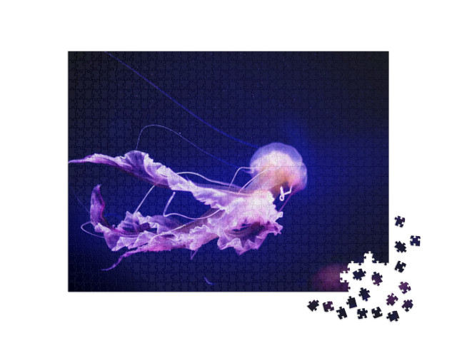 Puzzel 1000 stukjes „Spaarzame Medusa in neonlicht“