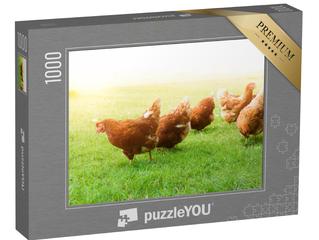 Puzzel 1000 stukjes „Scharrelkippen op een groene weide“