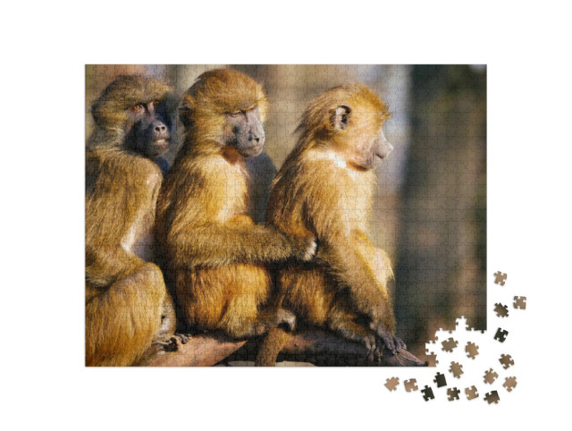 Puzzel 1000 stukjes „Baviaan familie“