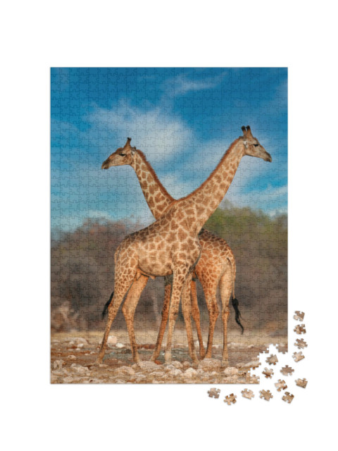 Puzzel 1000 stukjes „Twee giraffen“