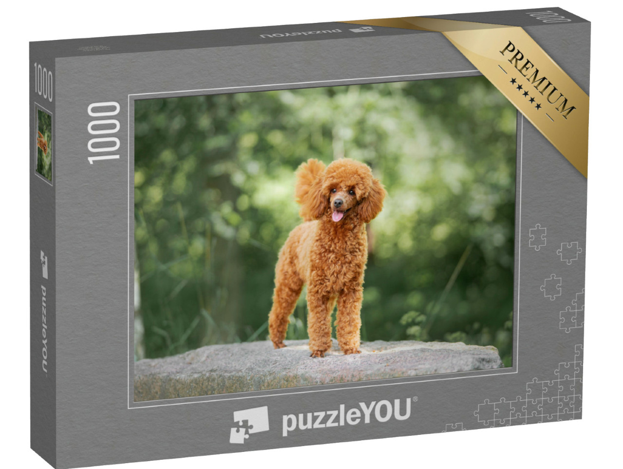 Puzzel 1000 stukjes „Een dwergpoedel“